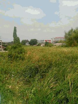 ขายที่ดินเปล่า 3 ไร่ 3 งาน 72 ตรว. ซอยแม่ทองก้อน 2 เขตดอนเมือง กรุงเทพ ใกล้รถไฟฟ้า